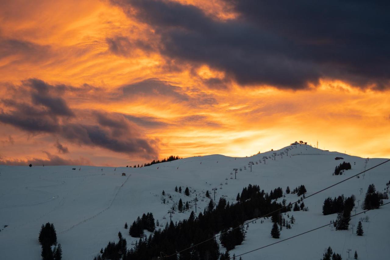 Les Saisies Appart 1 Chambre Au Pied Des Pistes エクステリア 写真