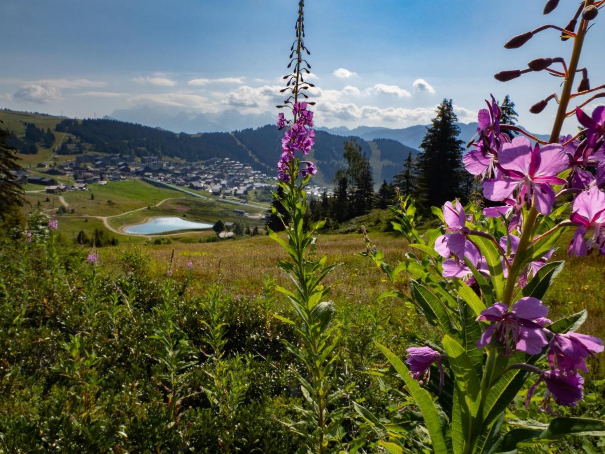 Les Saisies Appart 1 Chambre Au Pied Des Pistes エクステリア 写真