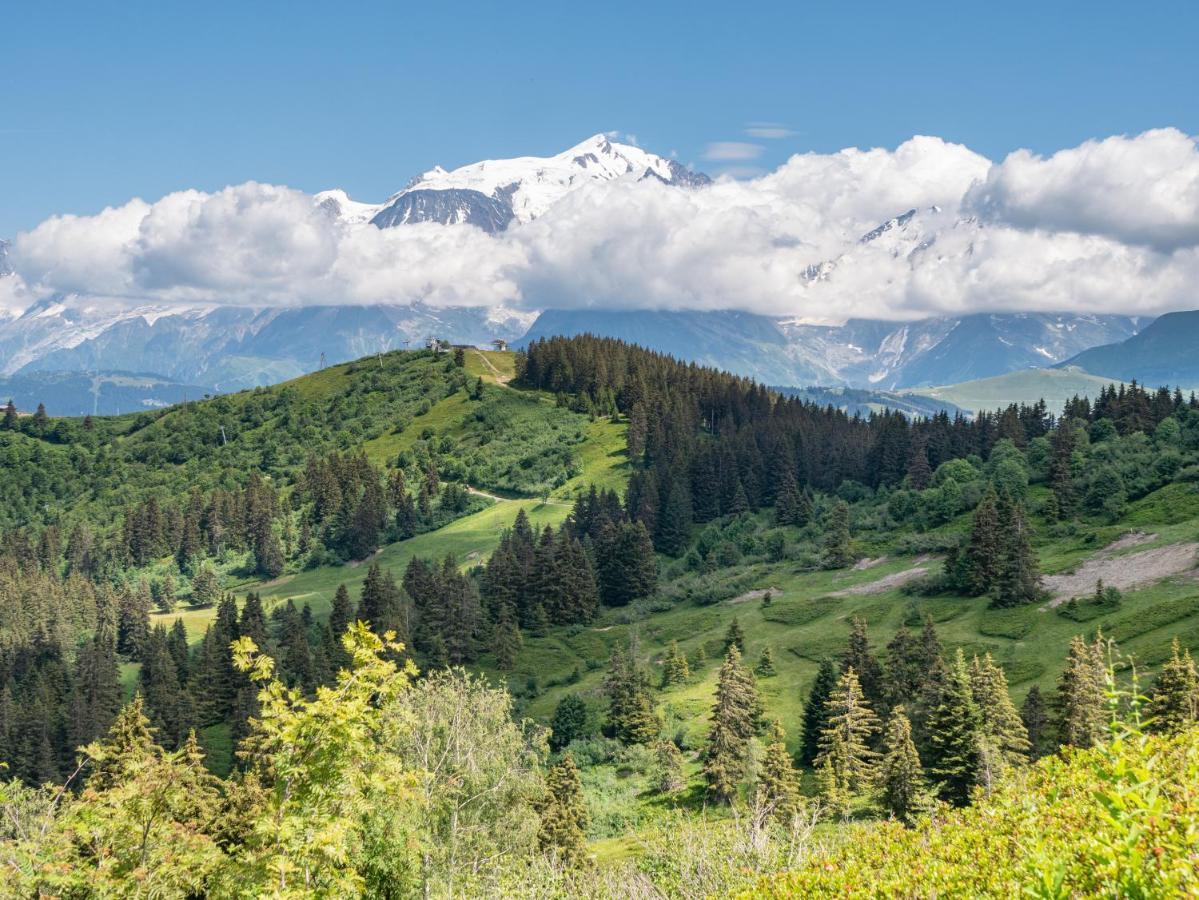 Les Saisies Appart 1 Chambre Au Pied Des Pistes エクステリア 写真